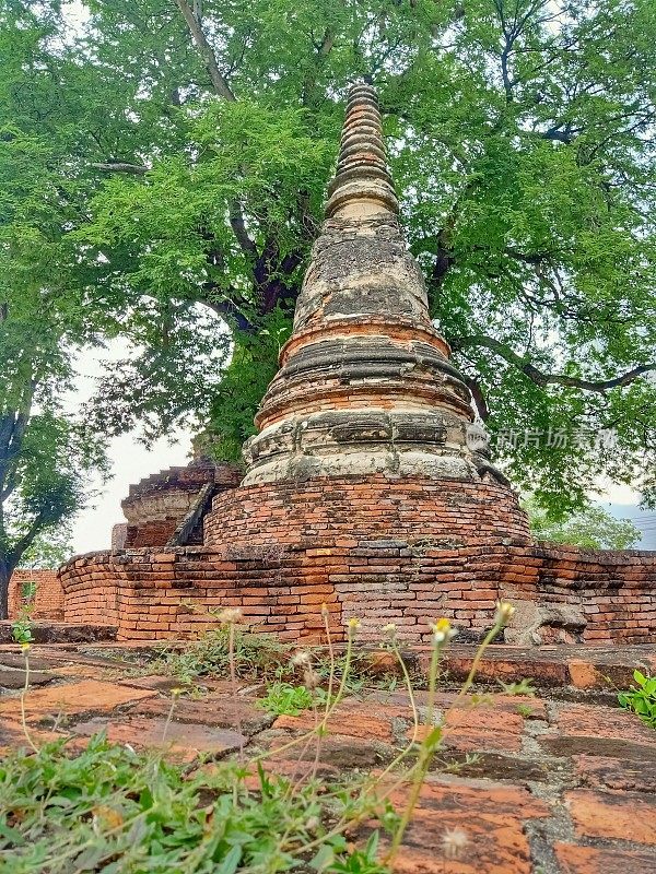 古切迪或佛塔在Phra Nakhon Si大城府省